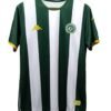 Hermandad de Sangre y Verde: La Historia Detrás de la Camiseta de Chapecoense